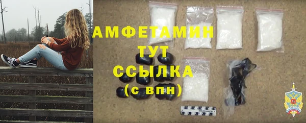 сатива Волоколамск