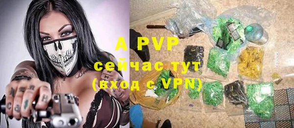 гидропоника Ладушкин