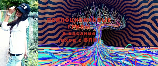 трава Липки