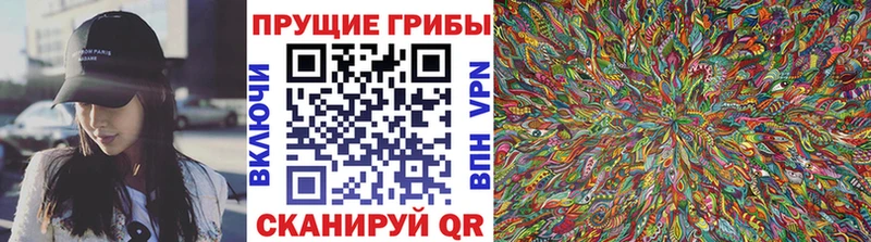 Псилоцибиновые грибы ЛСД  mega сайт  Тулун 