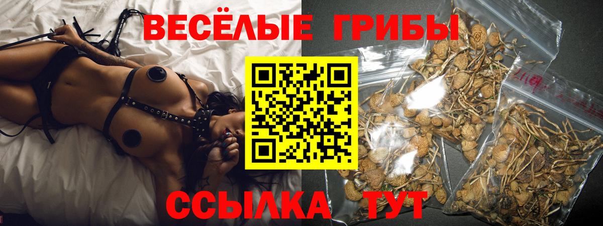 Псилоцибиновые грибы Magic Shrooms  Галлюциногенные грибы ЛСД  Тулун 