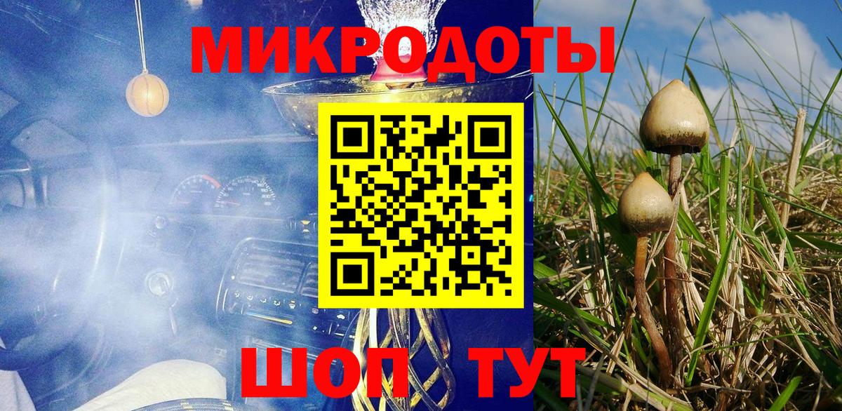 Псилоцибиновые грибы мицелий Тулун