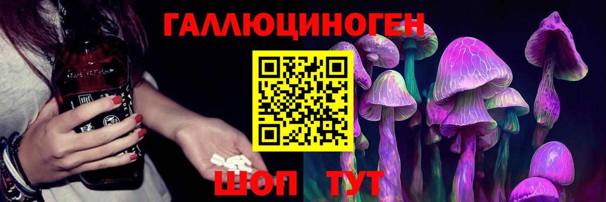 Тулун  Псилоцибиновые грибы ЛСД  магазин  наркотиков  Вход с VPN 